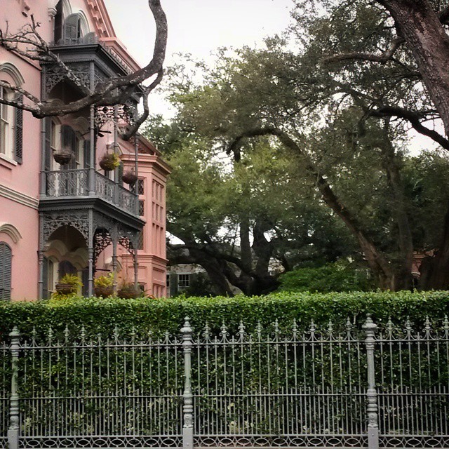 Decadent #southern homes in the #gardendistrict of #neworleans #oaks #oaktrees #annerice