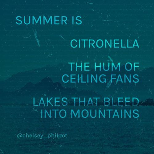 #summer #lovelywords #thingstoponder #writing #writinglife #writer #writersofinstagram #quotes #writ