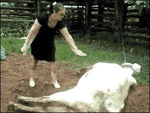 srsfunny:When Mom Tries To Wake Me Up Early In The Weekendhttp://srsfunny.tumblr.com/