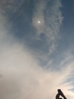 Idk why, but I wanted to share this photo of the Corona from the eclipse when I was in the middle of SC(jimbles-unown)holy crap