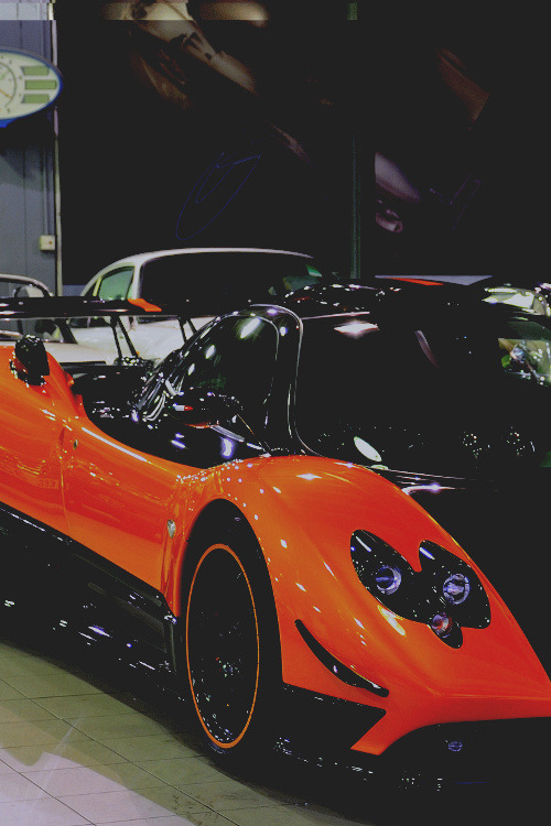 passion-sport-motors:  Pagani Zonda Cinque