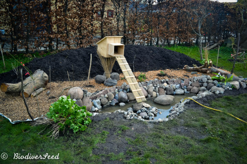 biodiverseed:Stormwater Pond and Mallard HouseDenmark // Zone 8Many things have come together over t