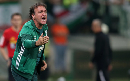 palmeiras