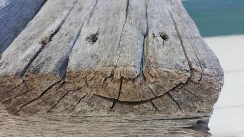 diary-of-a-chinese-kid: The happy wooden bench 