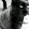 omg-sweetunlikelycollector-me: