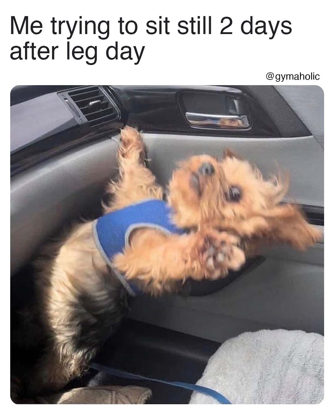 Me trying to sit still 2 days after leg day