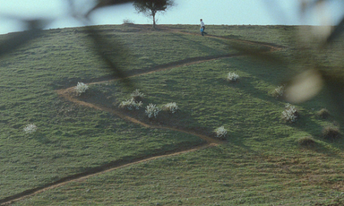 thelittlefreakazoidthatcould:Is your heart made of stone or what?Through the Olive Trees (1994) // d