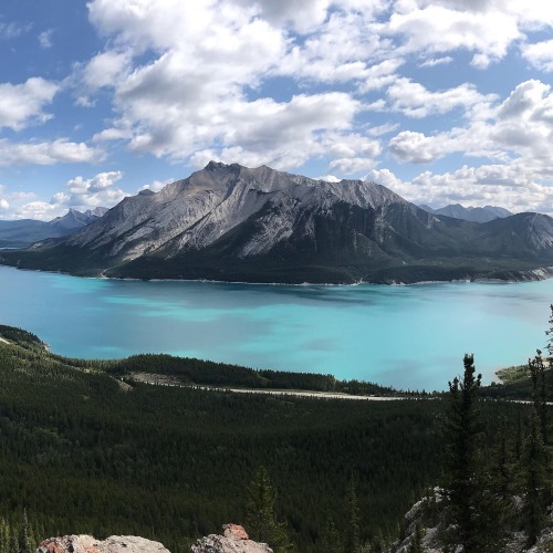 oneshotolive:  Afternoon Hike Mid Summer 2019, Yoho National Park, Alberta, Canada [OC] [1440 X 1440] 📷: UnhygenicBellyButton 