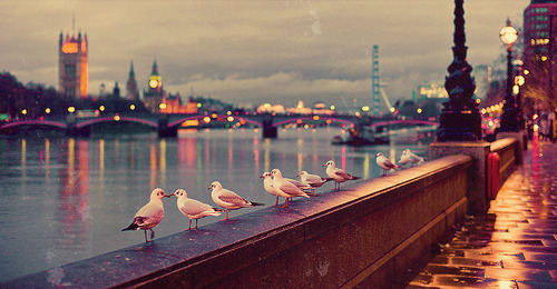 London on @weheartit.com - http://whrt.it/18oQpJG porn pictures