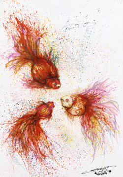 huatunan:  Goldfish Petti - 三条水金鱼 《如鱼得水》- 三种飘零的记忆，无规律，不寻找，仅游动。 