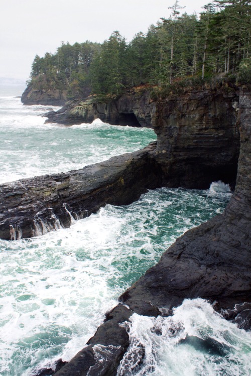 aspencreative:  Cape Flattery, Makah Reservation, WA © Hannah Aspnes DO NOT REPOST