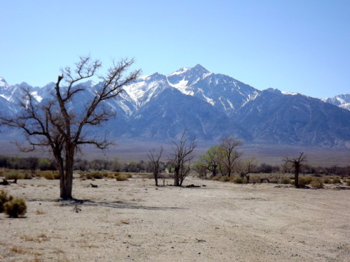 Assembly Hall, East Face of the Sierra Nevada, with Monument shown in the bottom picture, Manzanar N