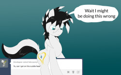 taboopony:  Shy: hay.. im new to this stuff