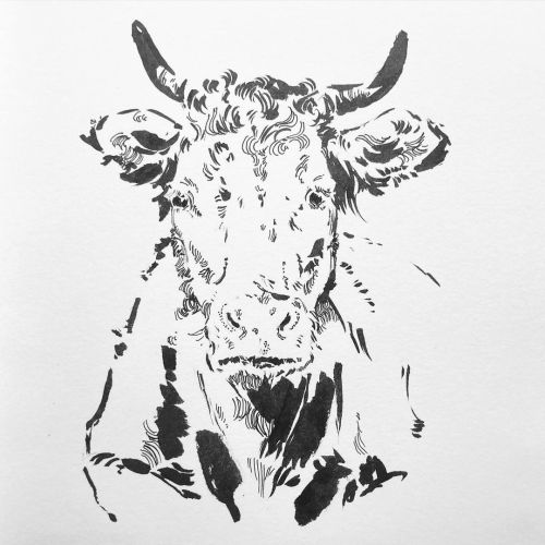 Fluffy is better #cow #drawing #ink #art #traditionalart #pentelbrushpen #blackandwhite #freehand #i