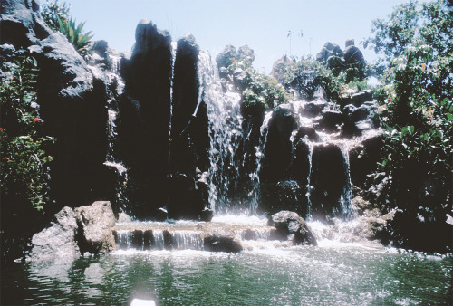 yourland:Jungle Cruise Elephant Pool, 1964