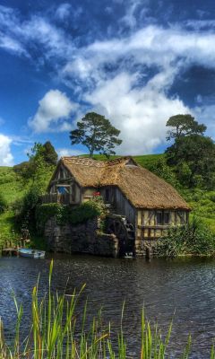 bonitavista:    Hobbiton, New Zealand photo via penny