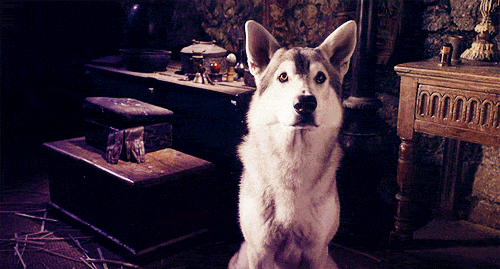 your-reaction-gifs:  No one is safe from making the biggest facebook FAILS!