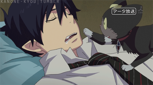 dangocake:  what my cat does to me:D 