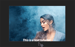 You can now add text on Tumblr's GIF making tool