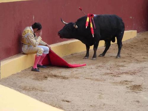 strictlyfavorites:This incredible photo marks the end of Matador Torero Alvaro Munera’s career. He c