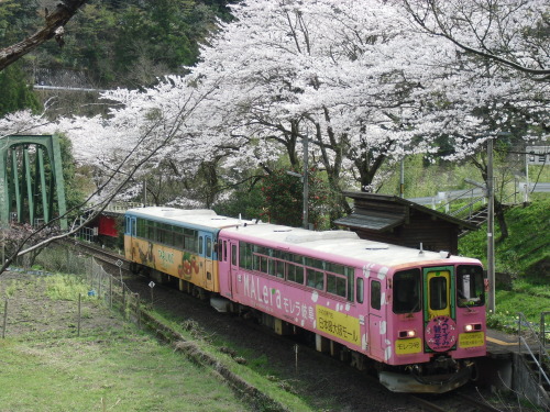 folklifejapan-trainsandflowers: Hinata Station, Tarumi Railway in Gihu pref