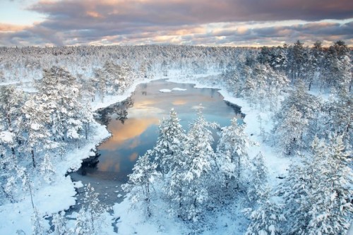 renamonkalou:    Winter wonderland | Jan Lepamaa