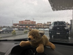 Waufy likes Kettleman City. They have an In N Out there and it has an Old Western kinda vibe.