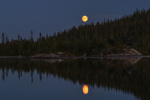 adhdgrapher:Summer Nights of Telemark Norway July 2022