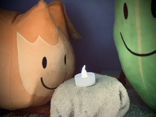 melon-dot-jpeg:firey and leafy decided to have lunch together in my bookshelf. i have no clue what t