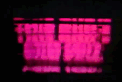 Tv Neon