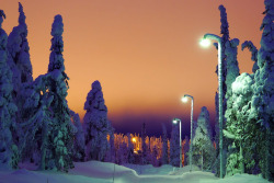 excdus: Orange Skies in Ruka, Finland Timo