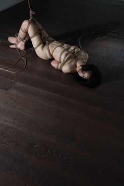 japanesebdsmofficial:    Shibari Naka Akira