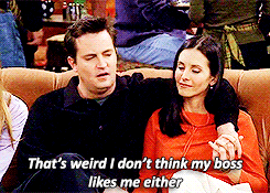 friends gifs