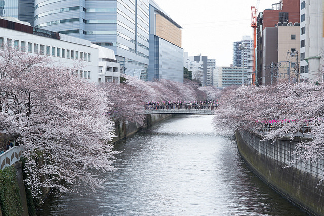 ileftmyheartintokyo:目黒(Meguro) by Second Lake on Flickr.