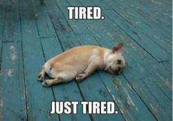 failsnet:  Tumblr Fails.net - He had a long rough day