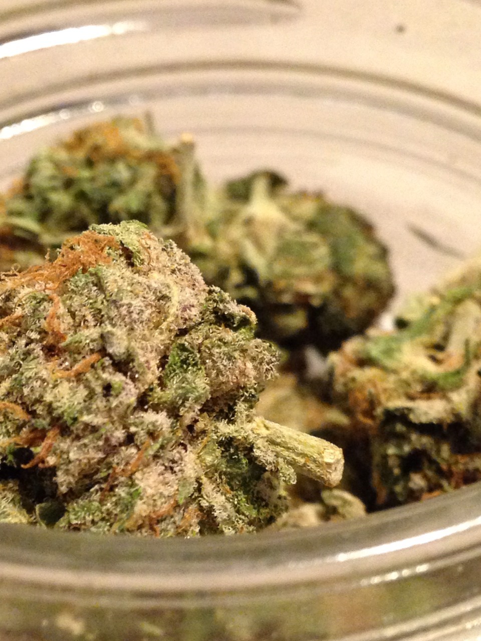 spaceandweed:  Drizzy