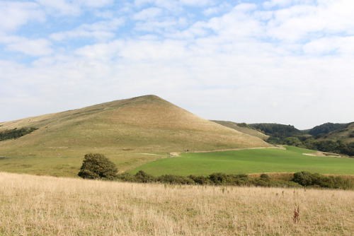 Purbeck Hills - Dorset, Summer 2018.Instagram© Jim Paterson - All rights reserved.