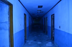natural-ove:   Abandoned mental hospital,