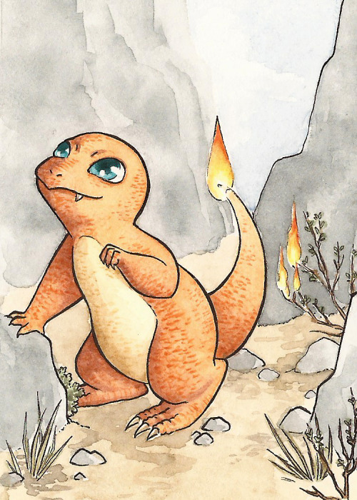Heres The 2nd Set Of Pokmon For The Pokmonathon Challenge! I Always Choose The Fire Type Starter. I Also