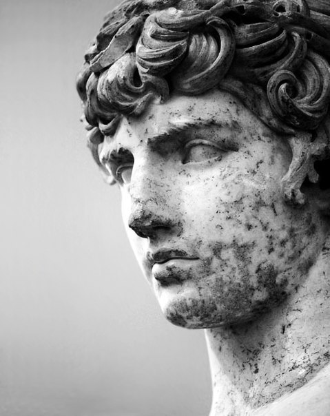 olddiarch:  Antinous 