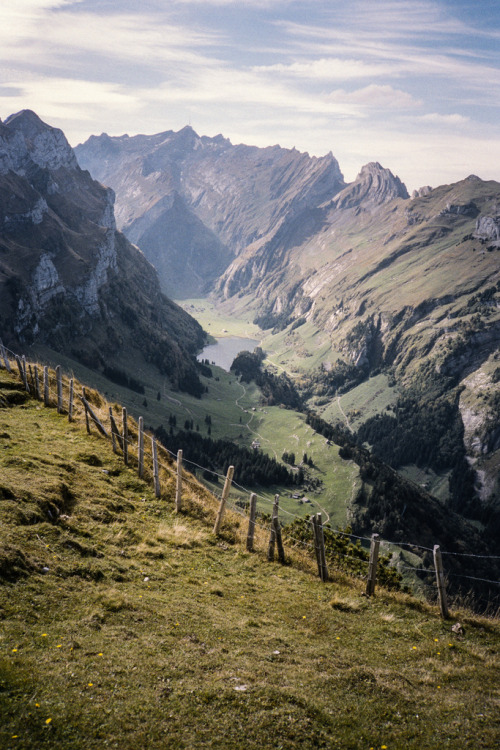 brutalgeneration:  (by gardendier) 