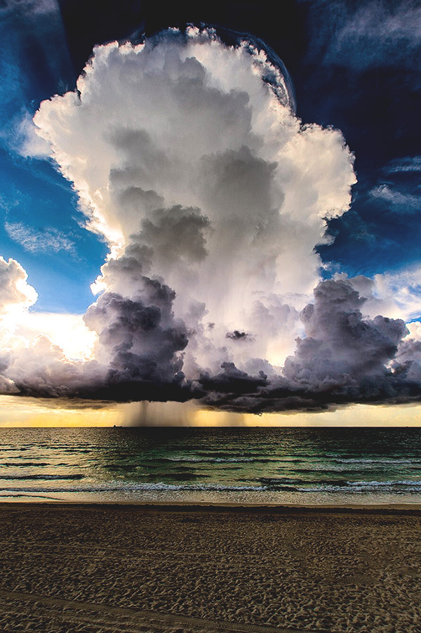 motivationsforlife:  Atomic by Miami Fever // Instagram // Edited by MFL