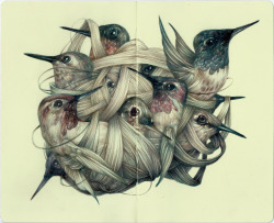 lohrien:  Illustrations by Marco Mazzoni on