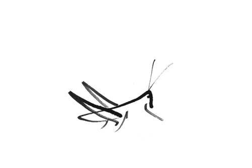 olgainoue: 毛虫 during my kanji practicing.japanese characters look justlike tiny insects to me someti