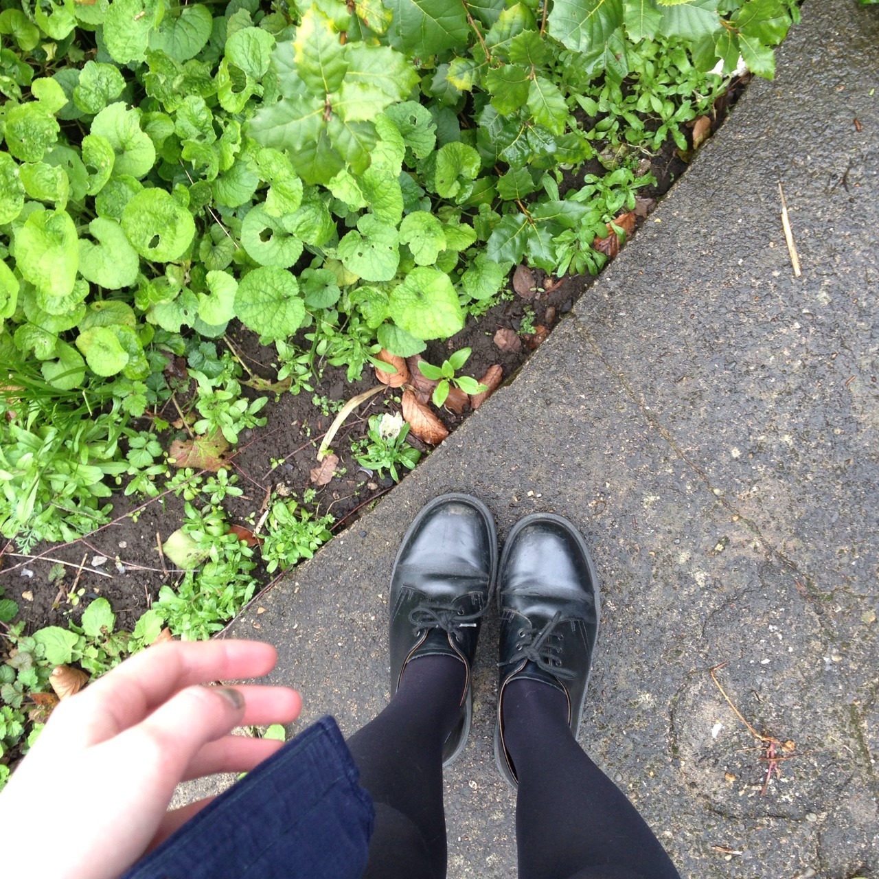 chili-jesson:  i don’t really know how i feel today  