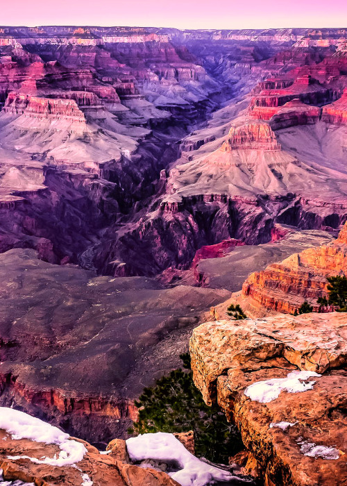 myhiddendepths:  wnderlst:  Grand Canyon National Park    