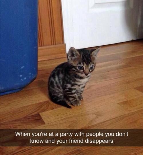 awwww-cute:  Awkward Parties (Source: http://ift.tt/1FQq6HF)