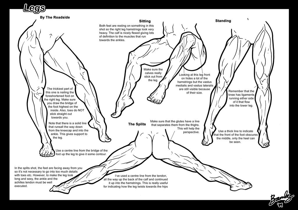 excessunrated:  fucktonofanatomyreferences:  Muscular women references!!!!!!!!!!