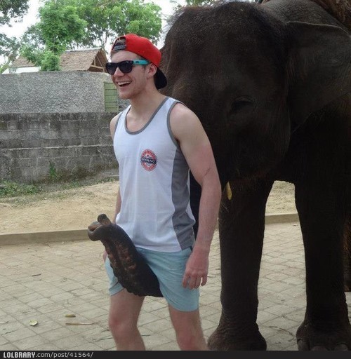 Hung Like An Elephant