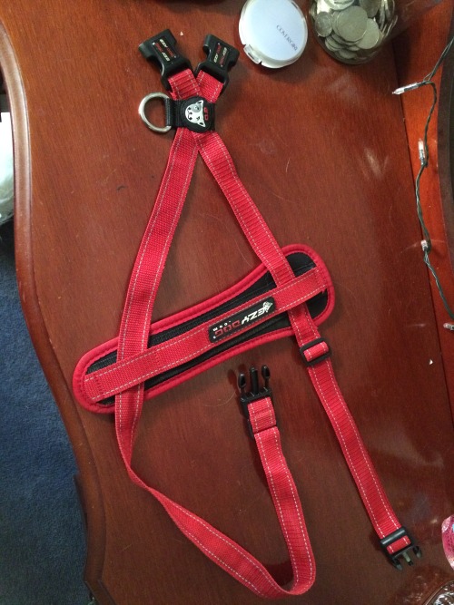 fightingsail: Selling an Ezydog Chest Plate Harness size Large, only worn once, in excellent conditi